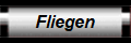 Fliegen